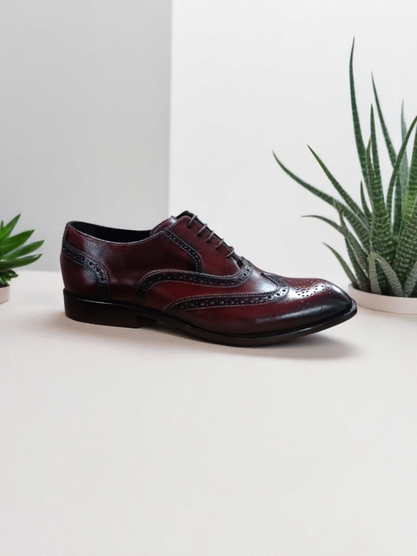 Wingtip Oxford